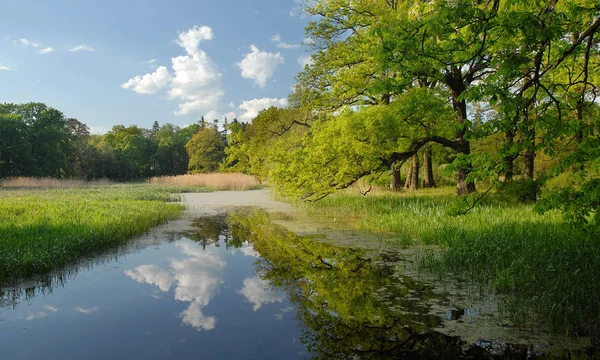 Pitoresca Vista Cenário Natureza — Fotografia de Stock