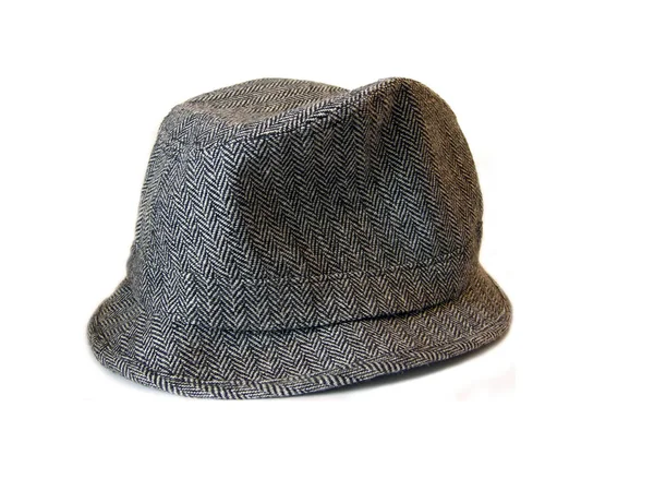 Trilbies 2024