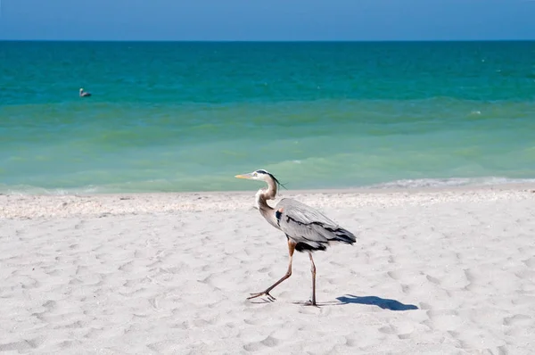 Entspannung Und Urlaubszeit — Stockfoto