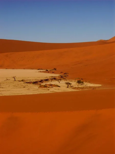 Dünensandoberfläche Wüste — Stockfoto