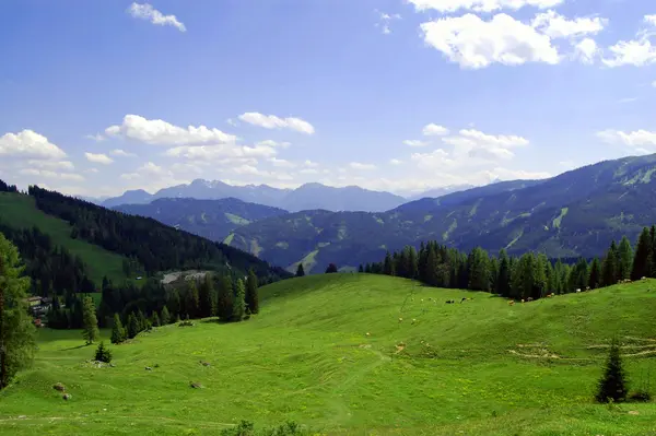 Austria Oficialmente República Austria País Alpino Oriental Sin Litoral Parte —  Fotos de Stock