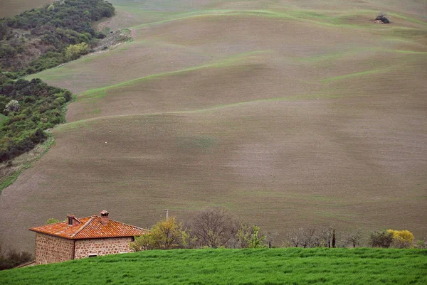 Imagens Paisagem Idiossincrática Mas Muito Bonita Pode Ser Encontrada Toscana — Fotografia de Stock