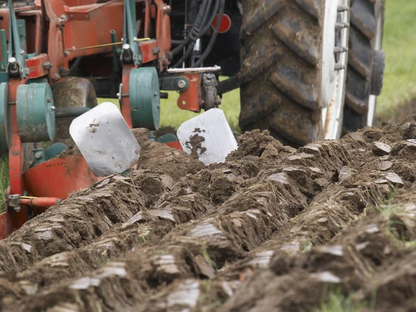 Naturskön Utsikt Över Landsbygden Selektivt Fokus — Stockfoto