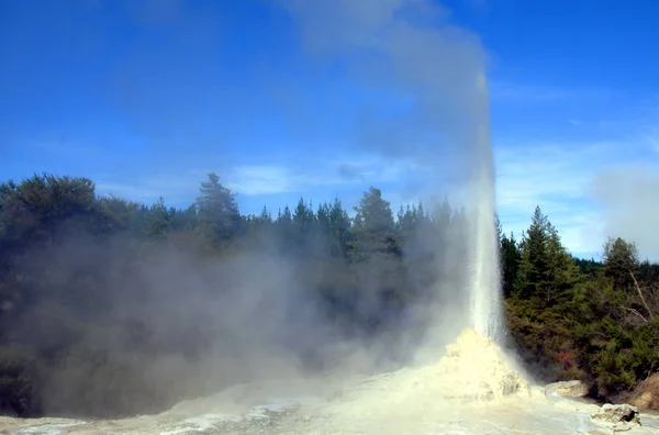 Senhora Knox Geyser Waiotapu — Fotografia de Stock