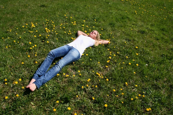 Eine Wiese Ist Ein Offenes Habitat Oder Feld Bewachsen Mit — Stockfoto