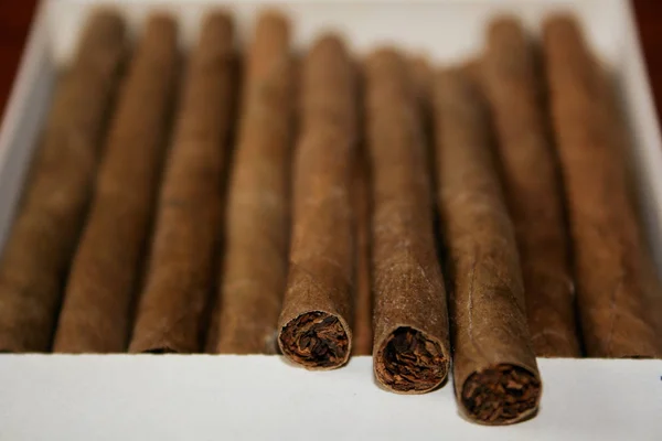 Cigaretta Egy Anyag Jellemzően Dohány — Stock Fotó