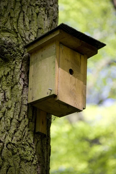 Hölzernes Vogelhaus Park — Stockfoto