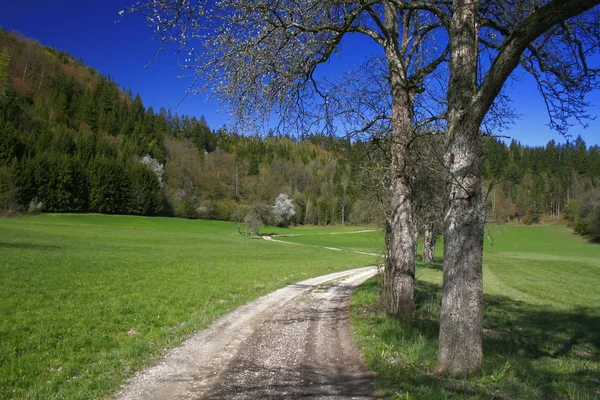 Krajina Krásné Přírody — Stock fotografie