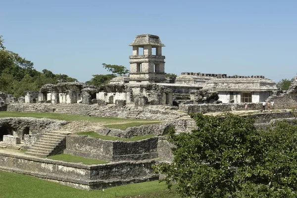 Palenque Meksika Maya Yerleşimi — Stok fotoğraf
