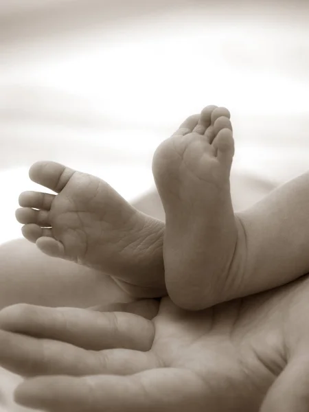 Recém Nascido Pés Bebê Nas Mãos Mãe — Fotografia de Stock