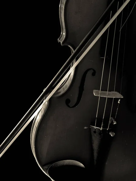 Violin Och Rosett Svart Och Vitt — Stockfoto