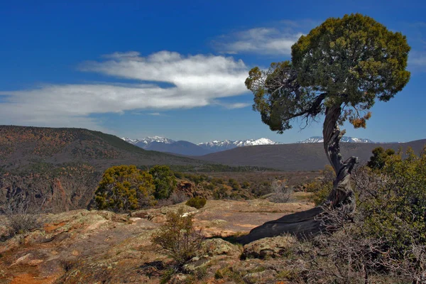 Colorado Est État Ouest Des États Unis — Photo