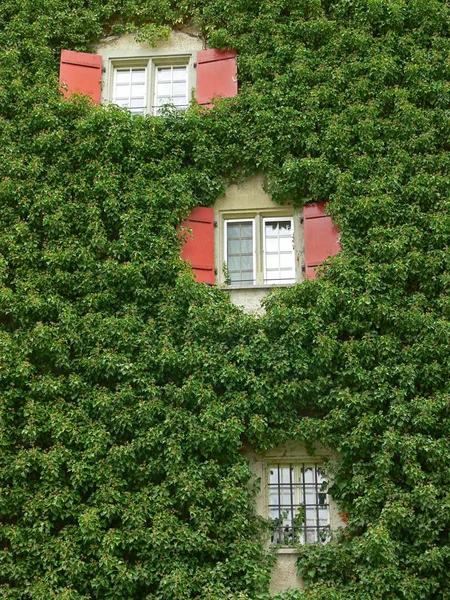 Andere Architektur Selektiver Fokus — Stockfoto