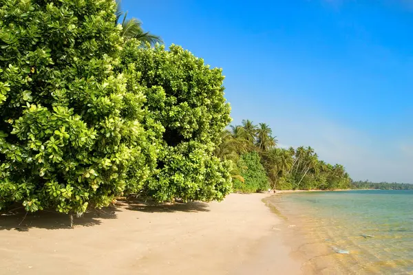 Güzel Tropikal Plaj Manzarası — Stok fotoğraf