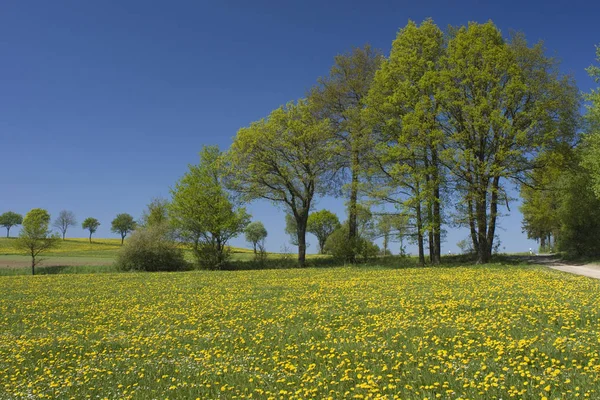 Paisagem Natureza Bonita — Fotografia de Stock