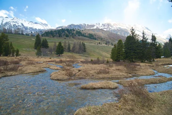 Hermosa Vista Naturaleza — Foto de Stock