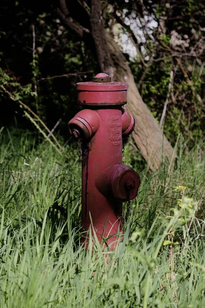 Velho Hidrante Fogo Vermelho Parque — Fotografia de Stock