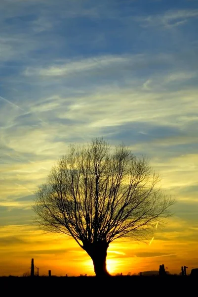 Beautiful Sunset Sky View — Stock Photo, Image