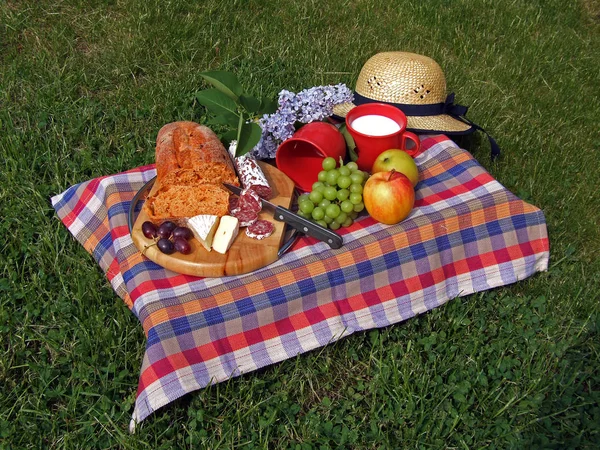 Conceito Piquenique Comida Férias — Fotografia de Stock