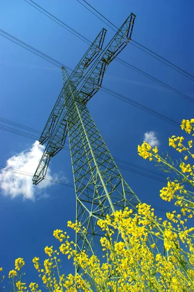 Elektryczne Linie Energetyczne Przeciw Błękitnemu Niebu — Zdjęcie stockowe