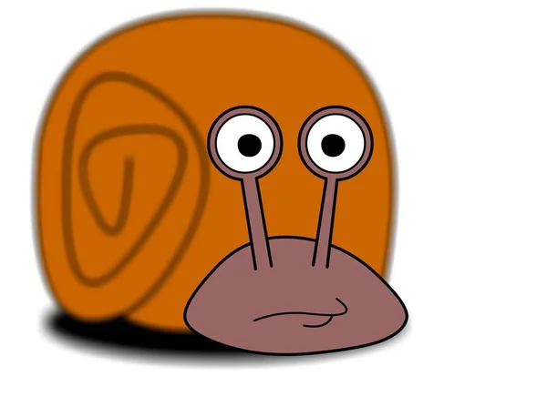 Slow Snail Slimy Animal — Stock Photo, Image