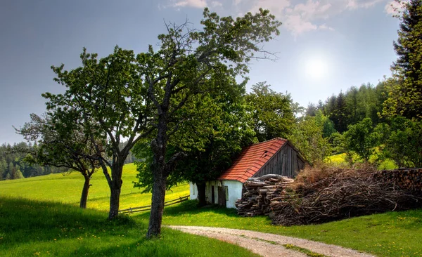 Piękny Widok Przyrodę — Zdjęcie stockowe