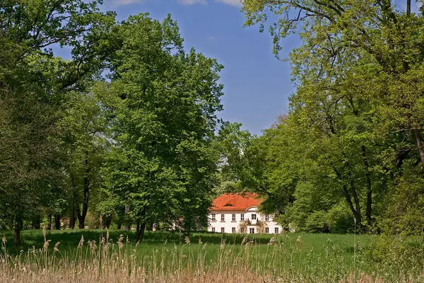 Zamek Parku — Zdjęcie stockowe