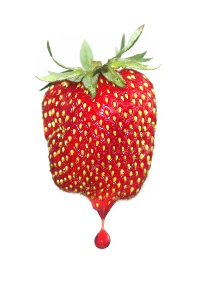 Μεμονωμένα Φρούτα Φράουλες Σταγόνα — Φωτογραφία Αρχείου