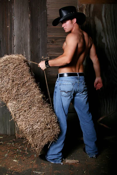 Sexy Jovem Masculino Cowboy — Fotografia de Stock