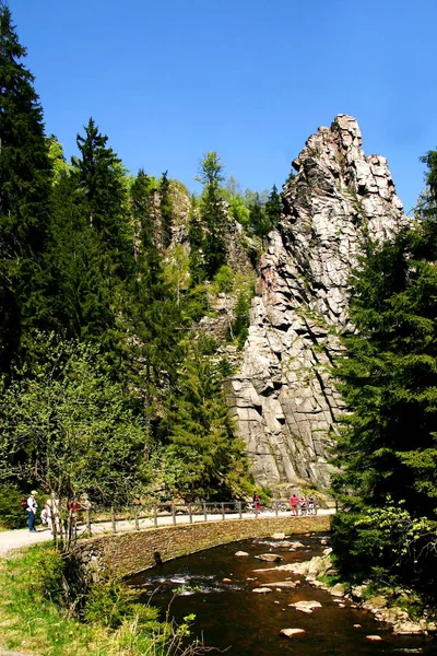 Vacker Utsikt Över Naturen — Stockfoto