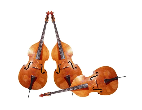 Violin Musikinstrument Närbild — Stockfoto