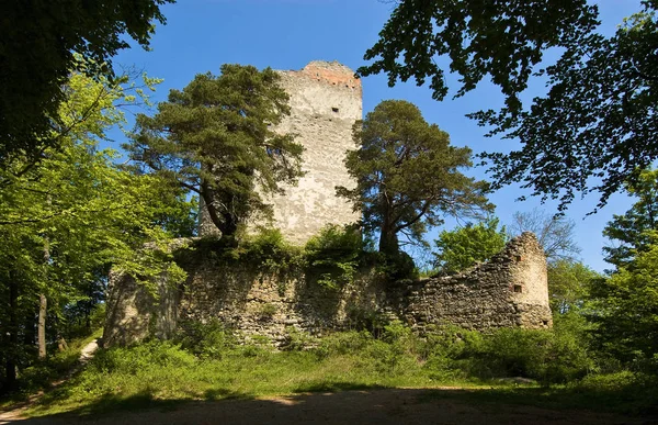 Badische Ruinas Lago 217M Sobre Lago Bodman Construido Siglo Xiv —  Fotos de Stock