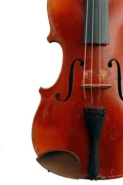 Скрипка Ізольована Білому Фоні — стокове фото