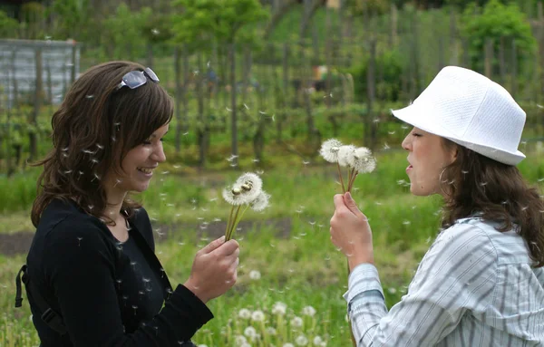 Två Flickor Fält Med Blommor — Stockfoto