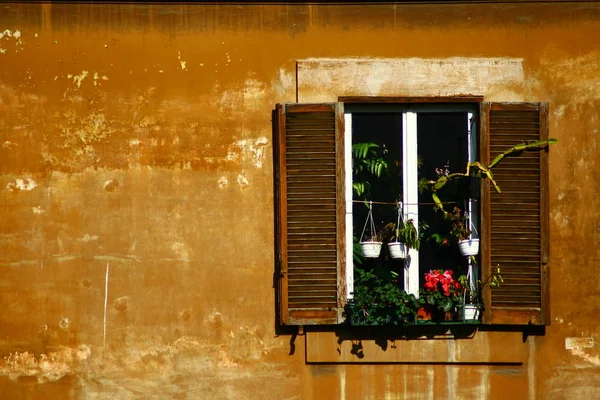 Arquitectura Diferente Enfoque Selectivo — Foto de Stock