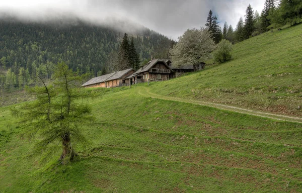 Wetterumschwug Pasto — Foto de Stock