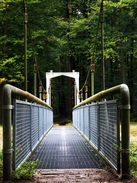 Pont Dans Forêt — Photo