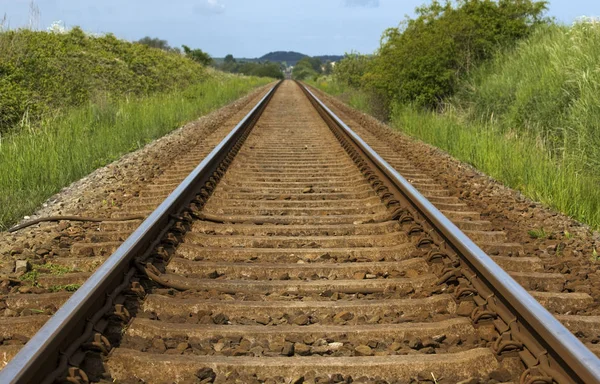 Carriles Tren Vacíos Campo — Foto de Stock