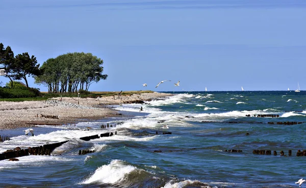 Prachtig Uitzicht Kust — Stockfoto