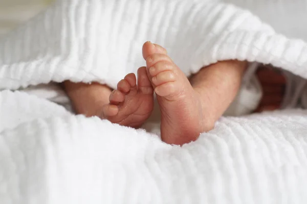 Küçük Bebek Bacakları Çocuk Bakımı — Stok fotoğraf