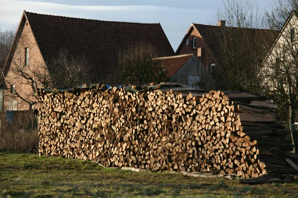 Timber Logs Tree Trunk — Stock Photo, Image