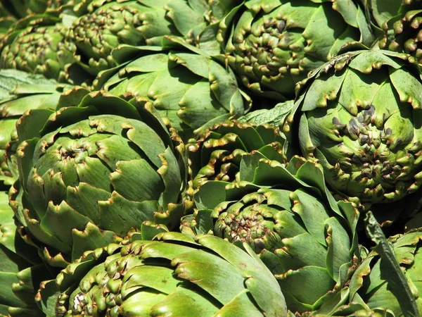 Vegetarische Artischocke Nahrungspflanze — Stockfoto