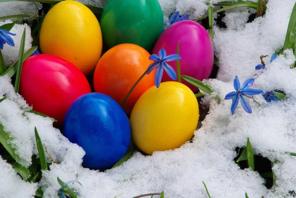 Holiday Colorful Concept Happy Easter Decorations — Stock Photo, Image