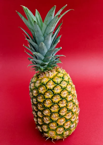 Piña Frutas Tropicales Verano — Foto de Stock