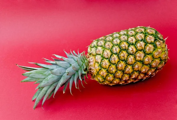 Ananas Tropische Sommerfrüchte — Stockfoto