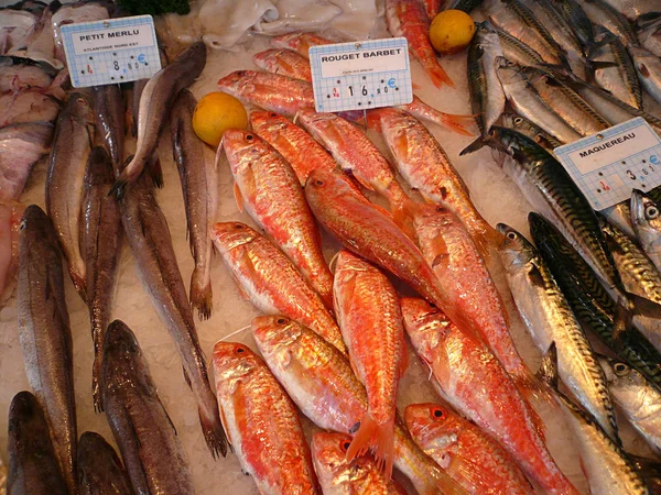 Pesce Fresco Mercato Nel Nord Israele — Foto Stock