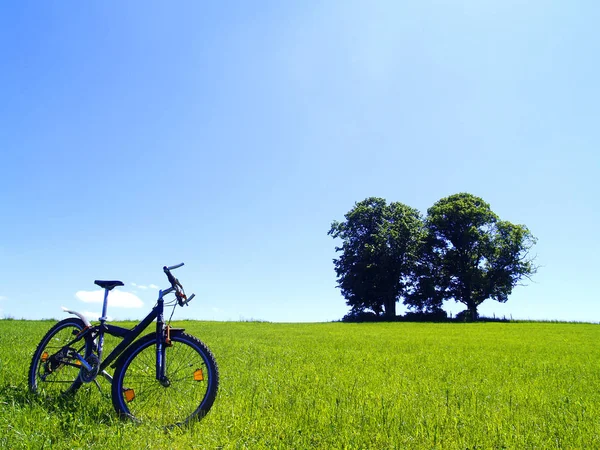 在蓝天的场地上骑自行车 — 图库照片