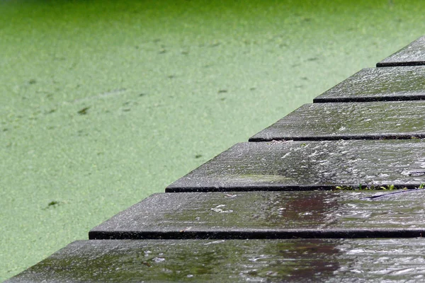 Chuva Nasser Calçadão Sobre Uma Lagoa — Fotografia de Stock