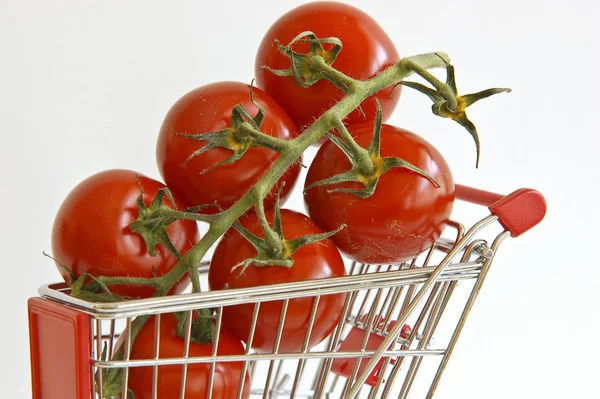 Biologische Rode Rijpe Tomaten — Stockfoto