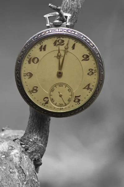 Tempo Horas Relógio Relógio Relógio — Fotografia de Stock